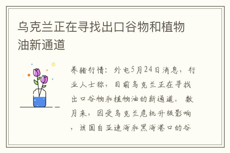 乌克兰正在寻找出口谷物和植物油新通道