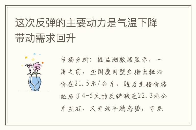 这次反弹的主要动力是气温下降带动需求回升