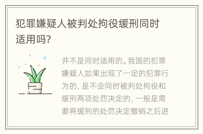 犯罪嫌疑人被判处拘役缓刑同时适用吗？