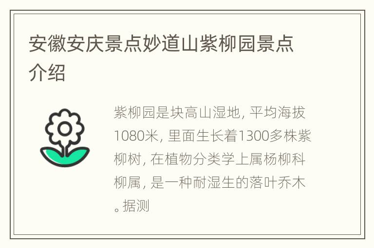 安徽安庆景点妙道山紫柳园景点介绍