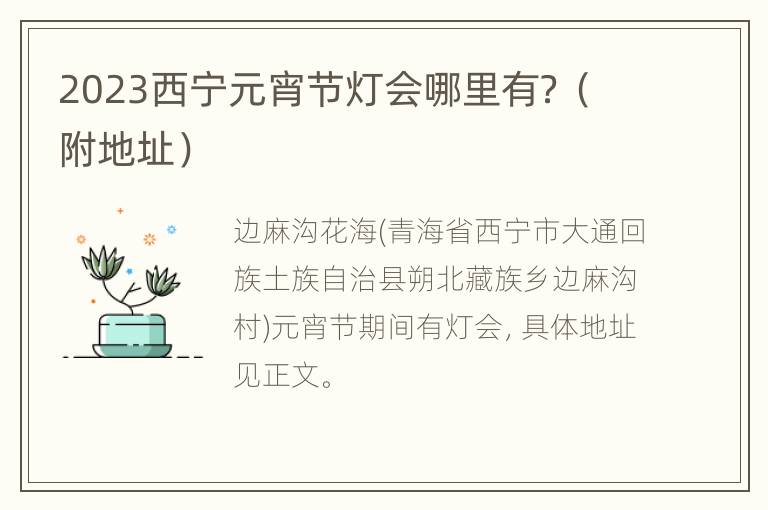 2023西宁元宵节灯会哪里有？（附地址）