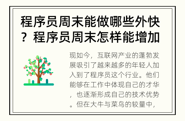 程序员周末能做哪些外快？ 程序员周末怎样能增加收入?