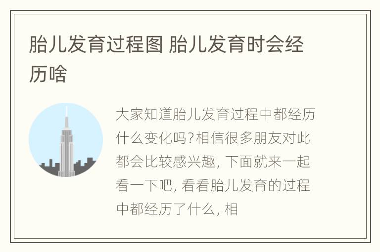 胎儿发育过程图 胎儿发育时会经历啥