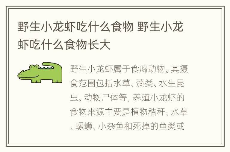 野生小龙虾吃什么食物 野生小龙虾吃什么食物长大