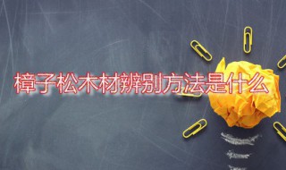 樟子松木材辨别方法是什么 樟子松有何特点