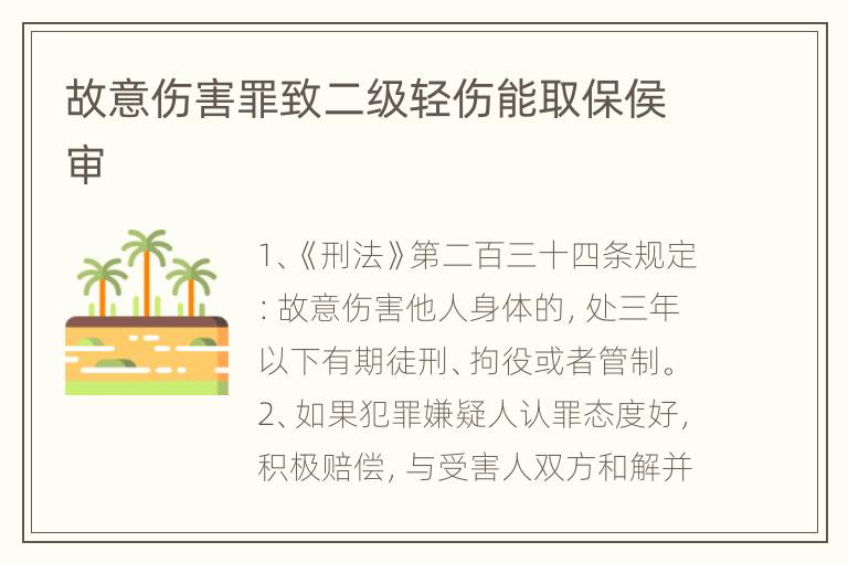 故意伤害罪致二级轻伤能取保侯审