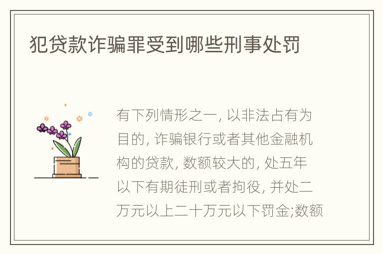 犯贷款诈骗罪受到哪些刑事处罚