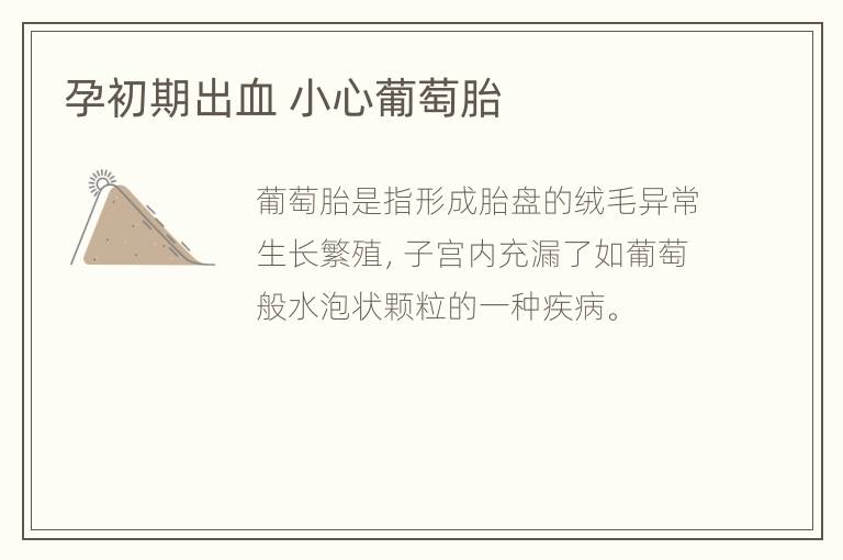 孕初期出血 小心葡萄胎