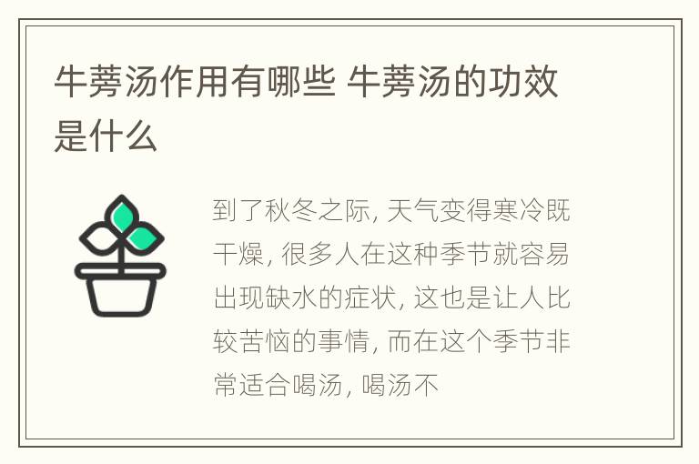 牛蒡汤作用有哪些 牛蒡汤的功效是什么