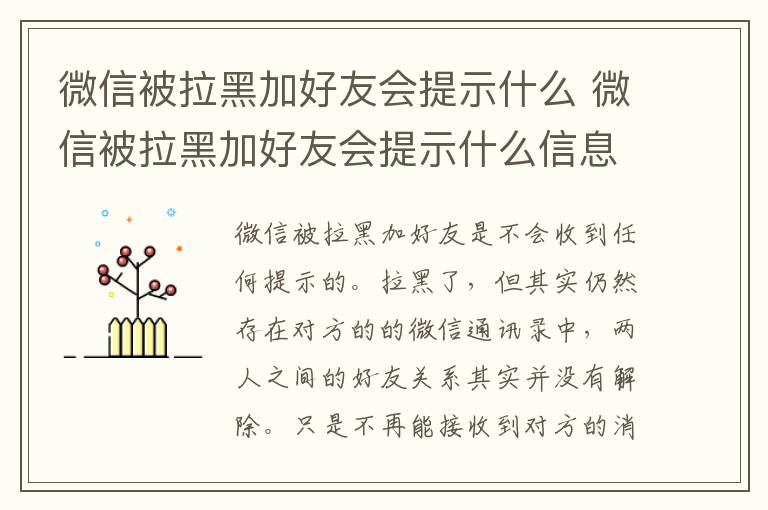 微信被拉黑加好友会提示什么 微信被拉黑加好友会提示什么信息