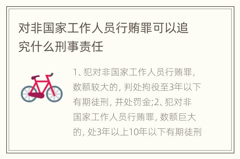 对非国家工作人员行贿罪可以追究什么刑事责任