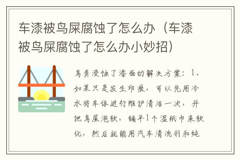 车漆被鸟屎腐蚀了怎么办（车漆被鸟屎腐蚀了怎么办小妙招）