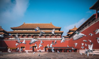 北京十大景点 北京市十大旅游景点分享