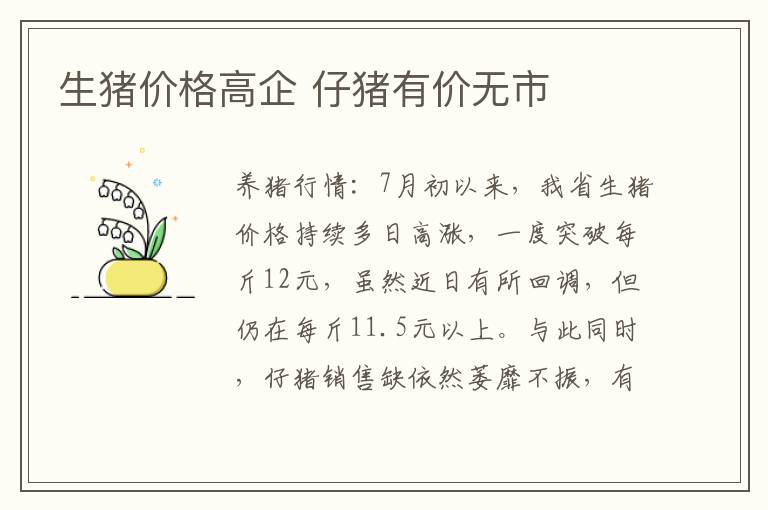 生猪价格高企 仔猪有价无市