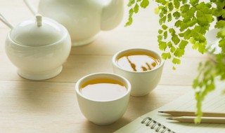 阳台茶叶苗有什么注意事项 阳台茶叶苗有什么注意事项吗
