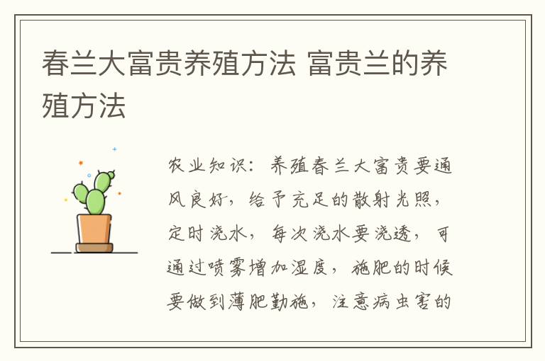 春兰大富贵养殖方法 富贵兰的养殖方法