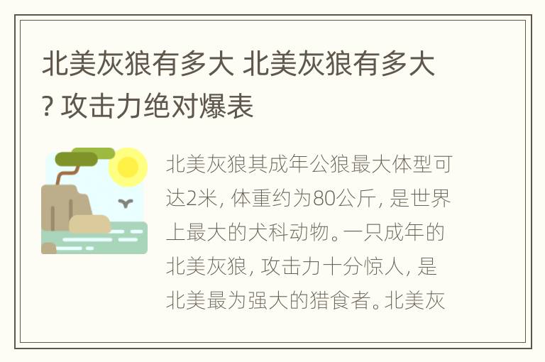 北美灰狼有多大 北美灰狼有多大? 攻击力绝对爆表