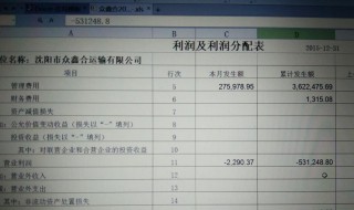 本年利润借方余额表示什么 本年利润借方余额意思表示什么
