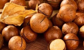 夏威夷果是进口的吗? 夏威夷果是不是进口