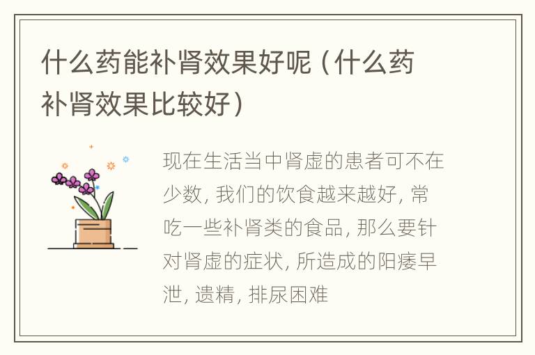什么药能补肾效果好呢（什么药补肾效果比较好）