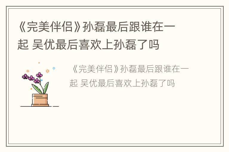 《完美伴侣》孙磊最后跟谁在一起 吴优最后喜欢上孙磊了吗