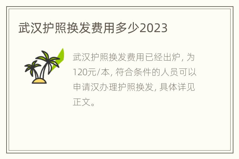 武汉护照换发费用多少2023