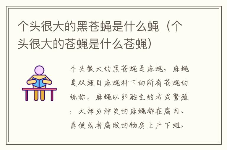 个头很大的黑苍蝇是什么蝇（个头很大的苍蝇是什么苍蝇）