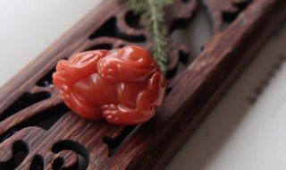 什么生肖不可以戴玉，什么生肖不可以戴玉石