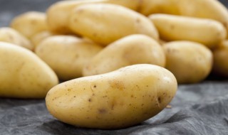 农村种土豆的方法 种植土豆的主要方法