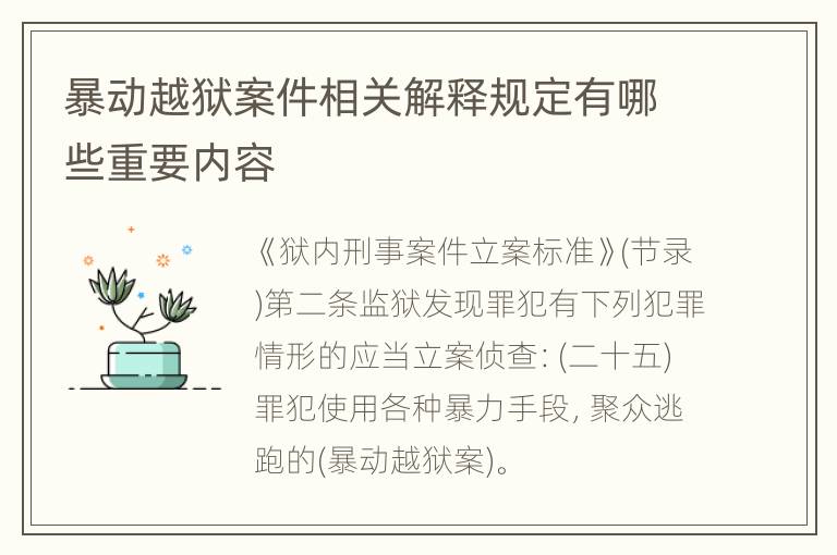 暴动越狱案件相关解释规定有哪些重要内容