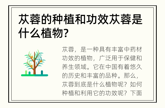 苁蓉的种植和功效 苁蓉是什么植物?