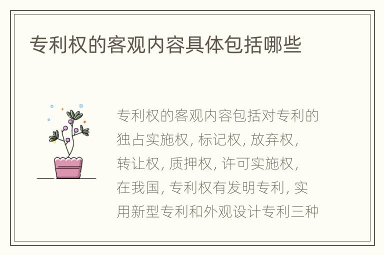 专利权的客观内容具体包括哪些