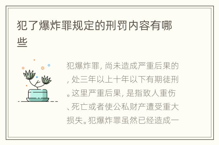 犯了爆炸罪规定的刑罚内容有哪些