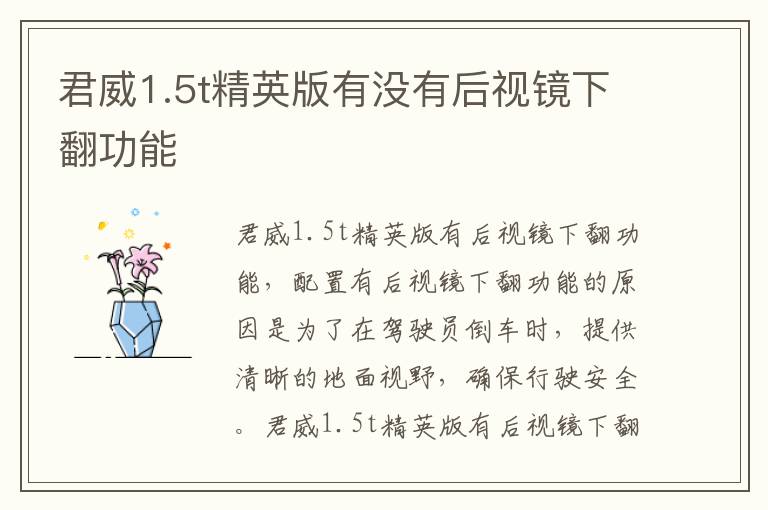 君威1.5t精英版有没有后视镜下翻功能