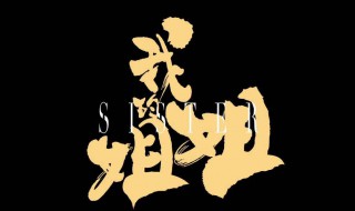 电影我的姐姐内容介绍 电影我的姐姐剧情简介