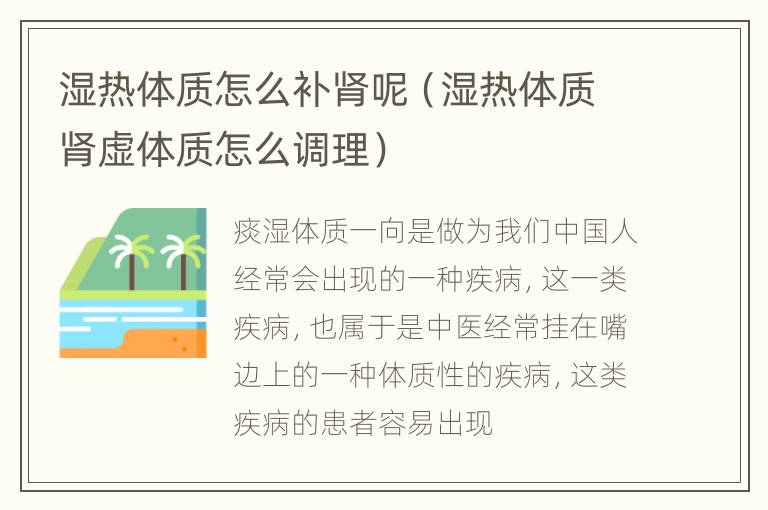 湿热体质怎么补肾呢（湿热体质肾虚体质怎么调理）