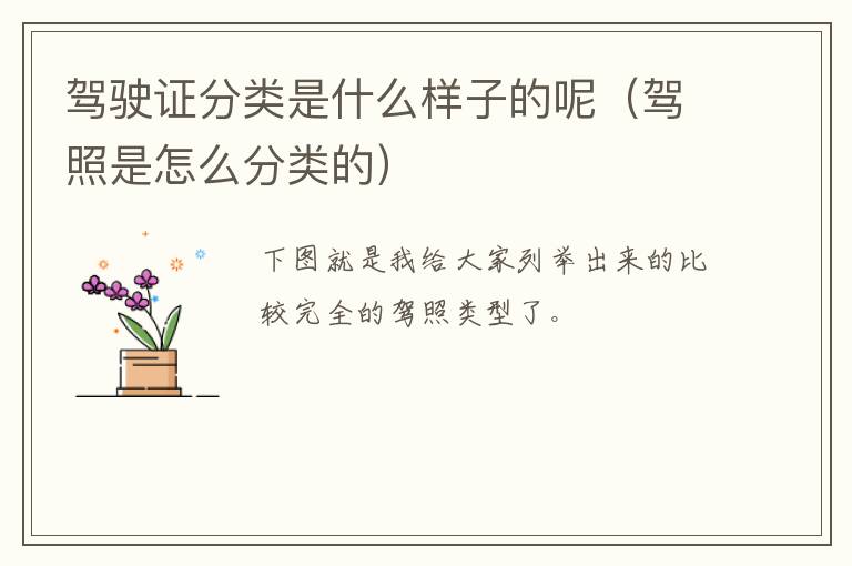 驾驶证分类是什么样子的呢（驾照是怎么分类的）