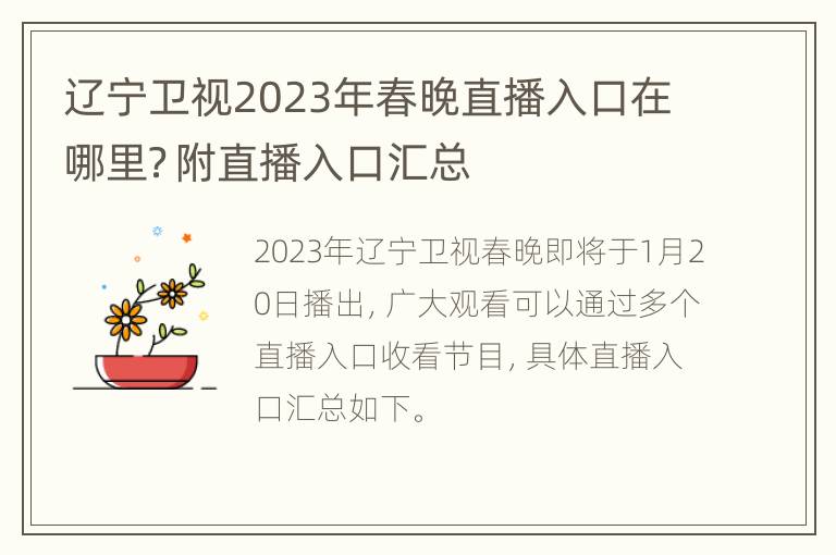 辽宁卫视2023年春晚直播入口在哪里？附直播入口汇总
