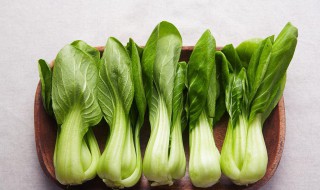 奶白菜保存方法 奶白菜怎么保存