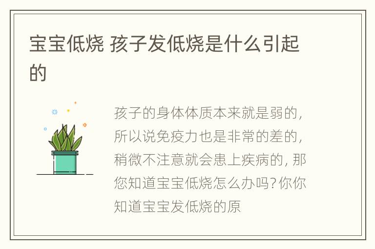 宝宝低烧 孩子发低烧是什么引起的