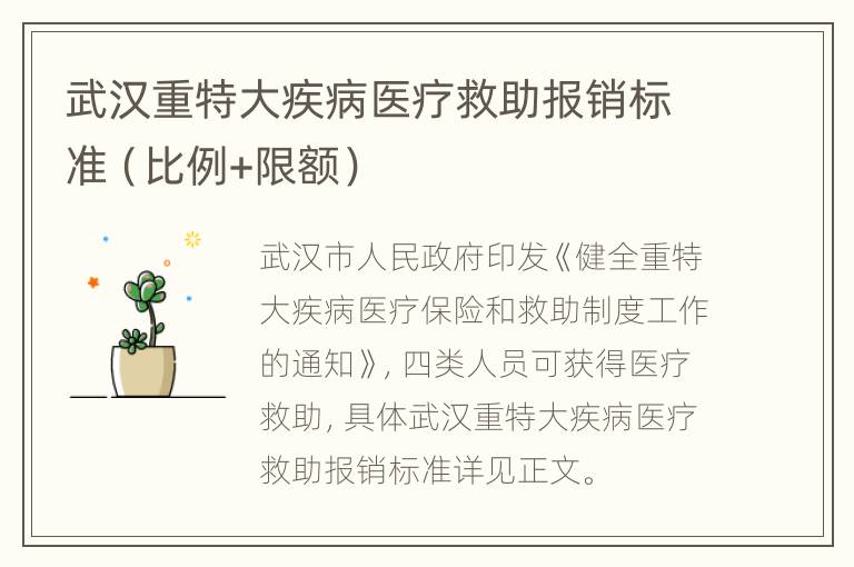 武汉重特大疾病医疗救助报销标准（比例+限额）