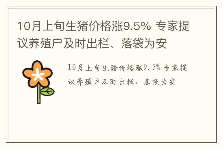 10月上旬生猪价格涨9.5% 专家提议养殖户及时出栏、落袋为安