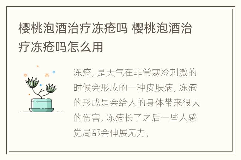 樱桃泡酒治疗冻疮吗 樱桃泡酒治疗冻疮吗怎么用