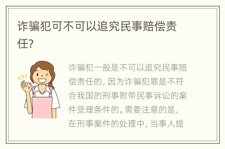 诈骗犯可不可以追究民事赔偿责任？