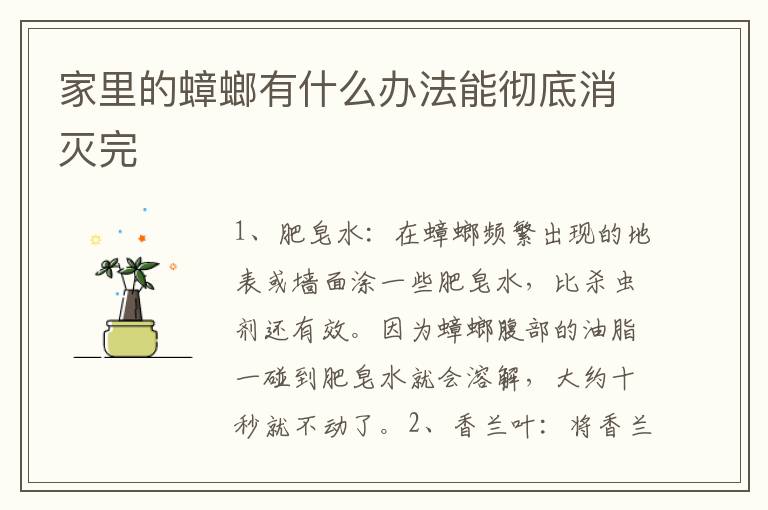 家里的蟑螂有什么办法能彻底消灭完