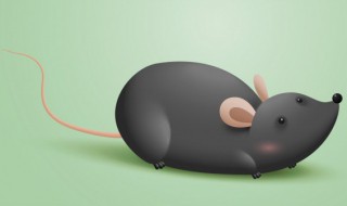 鼹鼠怎么养，鼹鼠怎么养殖