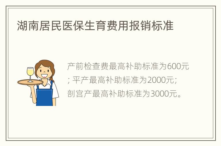 湖南居民医保生育费用报销标准