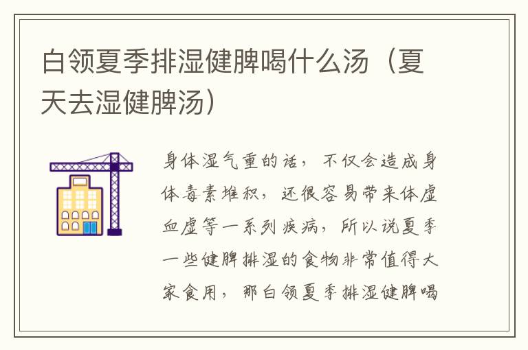 白领夏季排湿健脾喝什么汤（夏天去湿健脾汤）