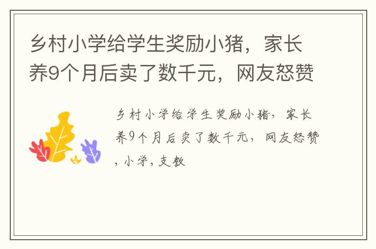 乡村小学给学生奖励小猪，家长养9个月后卖了数千元，网友怒赞