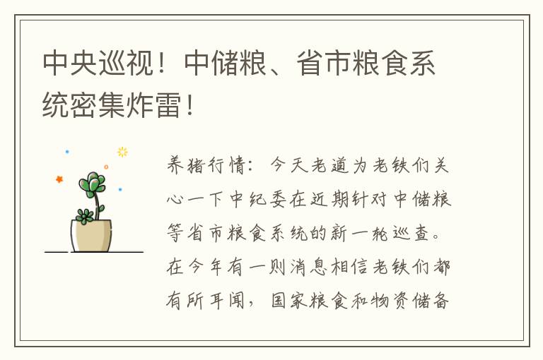 中央巡视！中储粮、省市粮食系统密集炸雷！